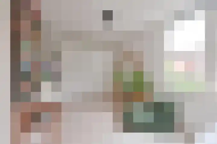 Droogdok 50 Huizen thumbnail 5