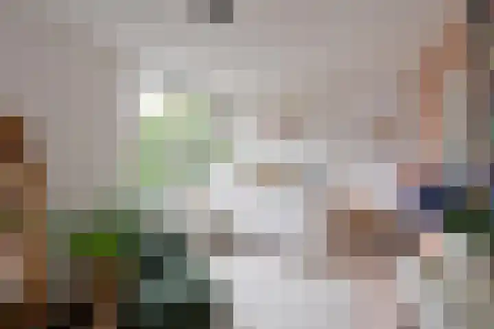 Droogdok 50 Huizen thumbnail 6