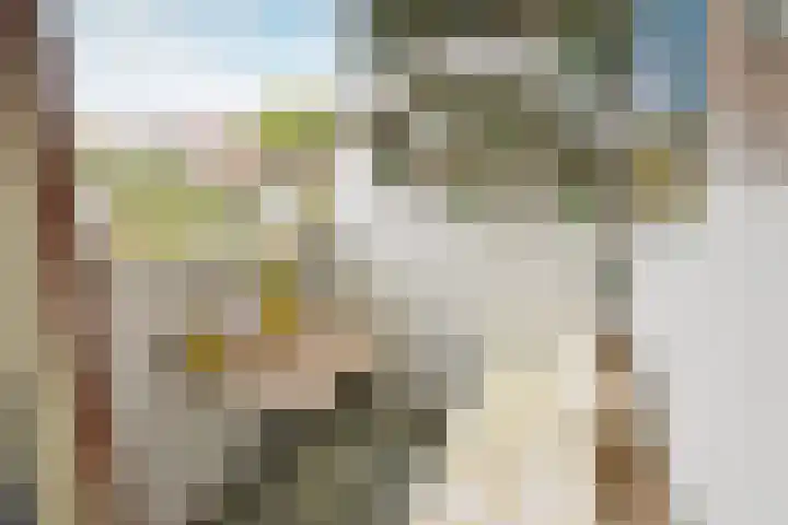 Droogdok 50 Huizen thumbnail 9