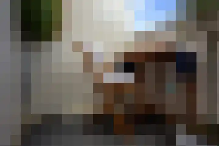 Droogdok 66 Huizen thumbnail 10