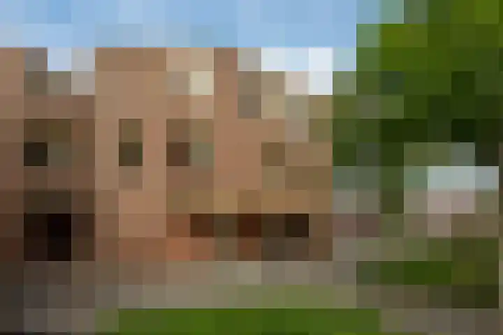 Droogdok 66 Huizen thumbnail 11
