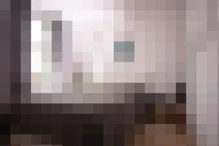 Droogdok 66 Huizen thumbnail 7