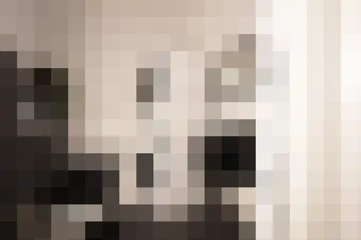 Droogdok 66 Huizen thumbnail 8