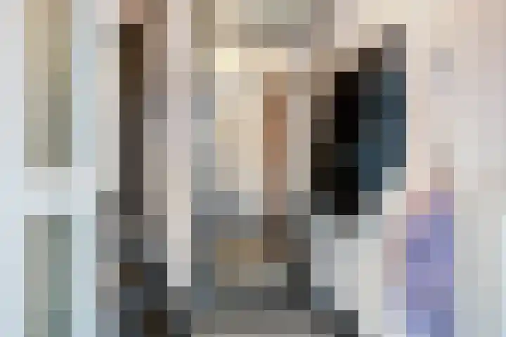 Dross Maesstraat 22 Stein thumbnail 11