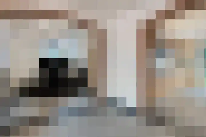 Dross Maesstraat 22 Stein thumbnail 13