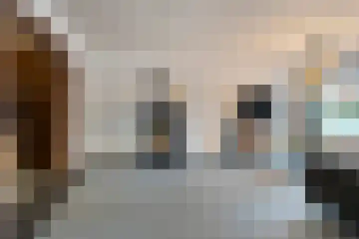 Dross Maesstraat 22 Stein thumbnail 14