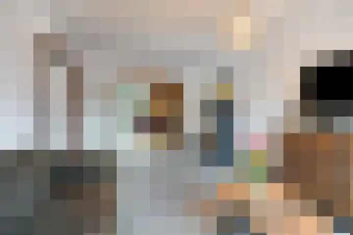 Dross Maesstraat 22 Stein thumbnail 15