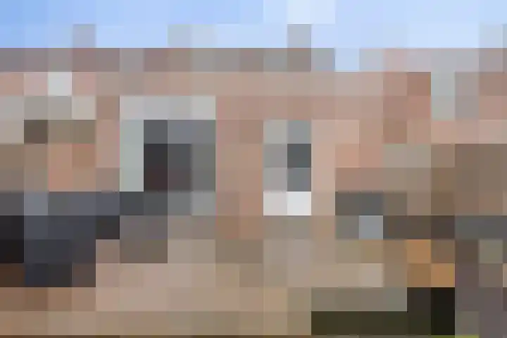 Dross Maesstraat 22 Stein thumbnail 18