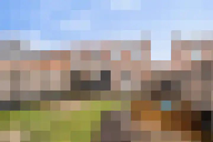 Dross Maesstraat 22 Stein thumbnail 19
