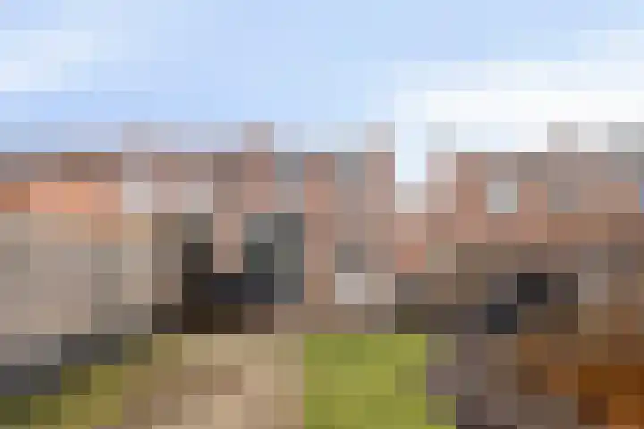 Dross Maesstraat 22 Stein thumbnail 20