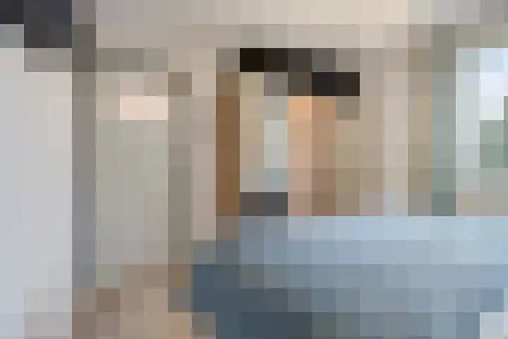 Dross Maesstraat 22 Stein thumbnail 23
