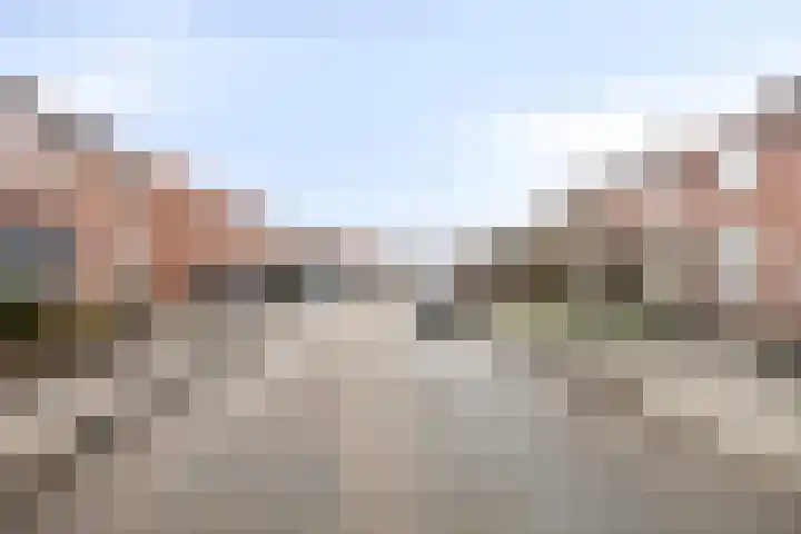 Dross Maesstraat 22 Stein thumbnail 27