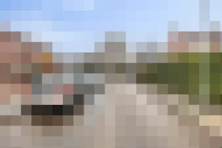 Dross Maesstraat 22 Stein thumbnail 28