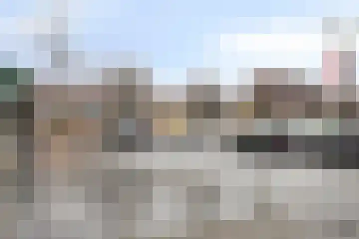 Dross Maesstraat 22 Stein thumbnail 30