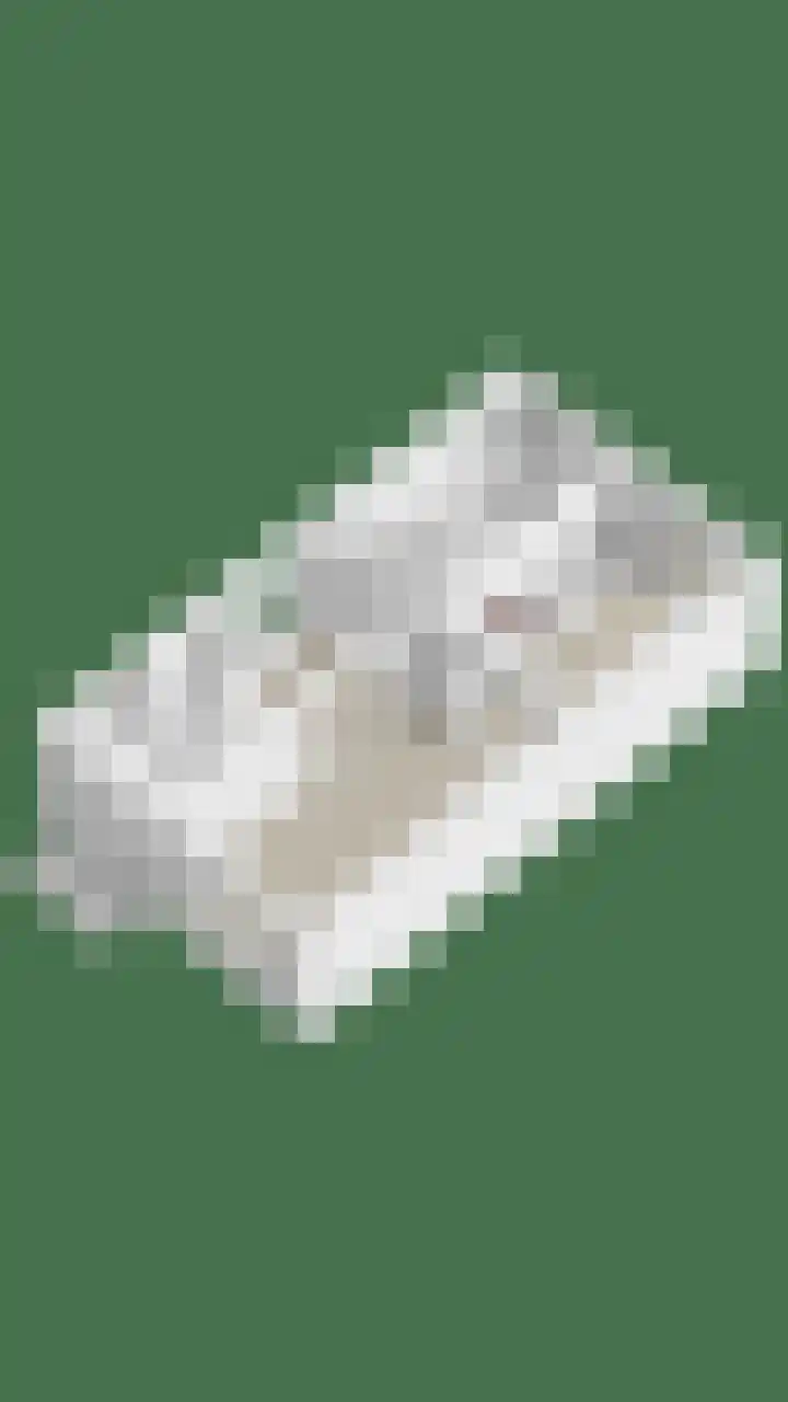 Dross Maesstraat 22 Stein thumbnail 34