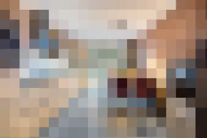 Dross Maesstraat 22 Stein thumbnail 4