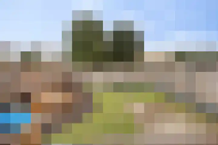 Dross Maesstraat 22 Stein thumbnail 6