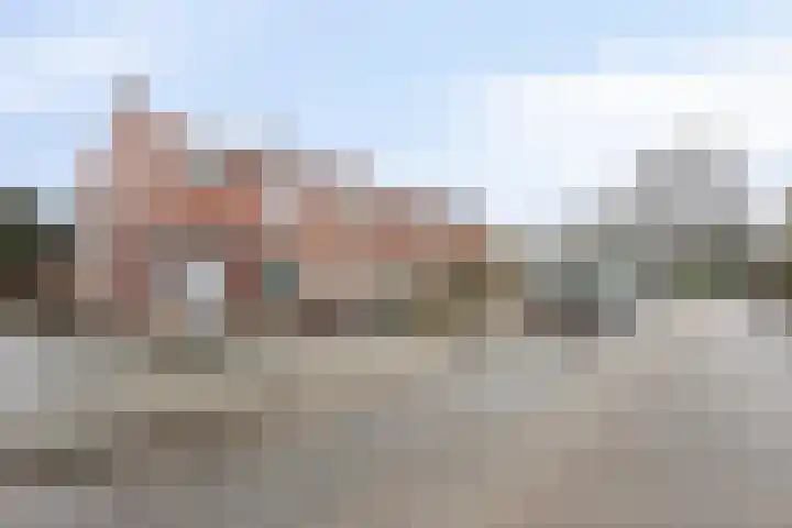 Dross Maesstraat 22 Stein thumbnail 8