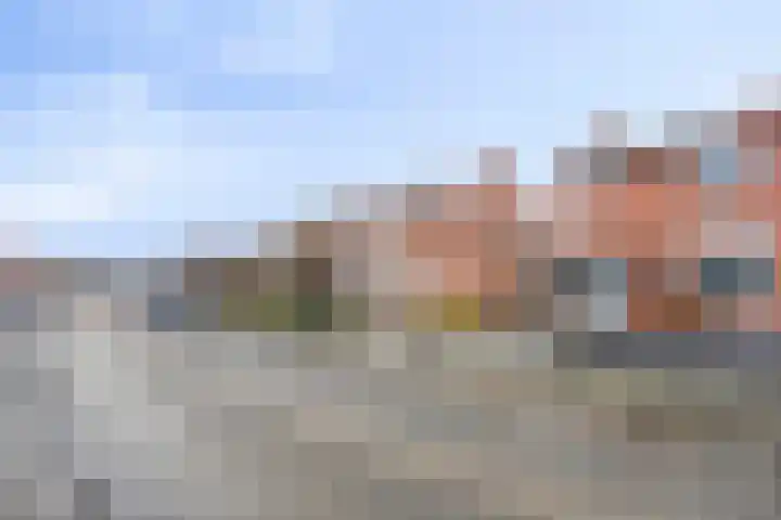 Dross Maesstraat 22 Stein thumbnail 9