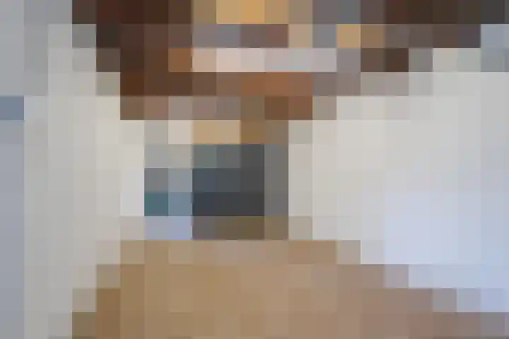 Dross Roststraat 37 Stein thumbnail 16