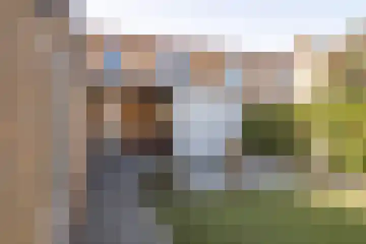 Dross Roststraat 37 Stein thumbnail 20