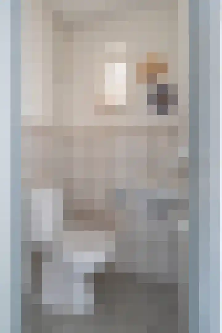 Dross Roststraat 37 Stein thumbnail 9