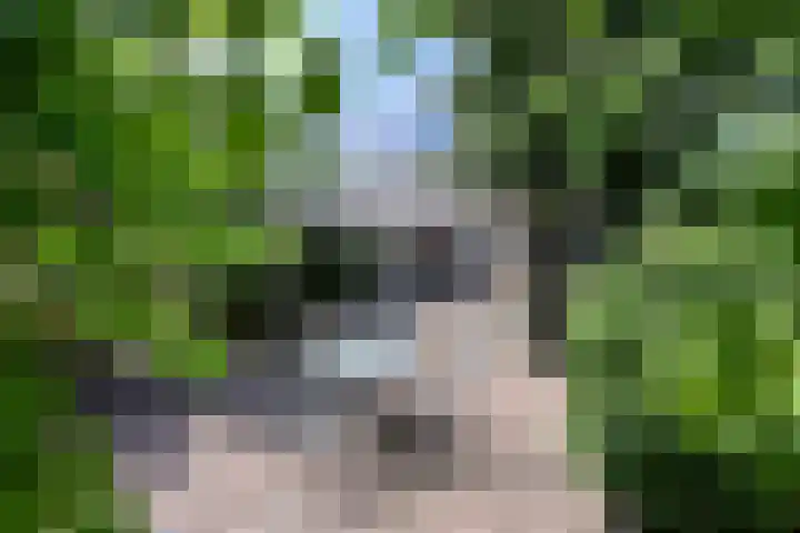 Drossaard 24 Naarden thumbnail 13