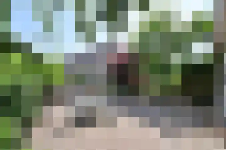 Drossaard 24 Naarden thumbnail 14