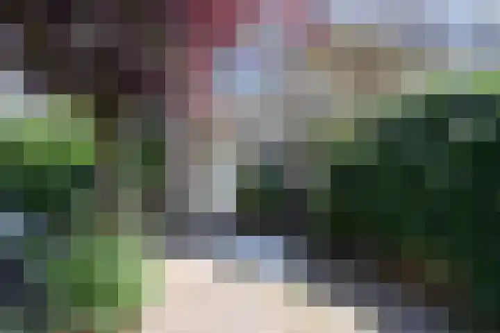 Drossaard 24 Naarden thumbnail 5