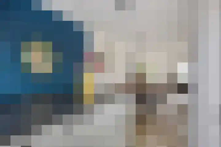 Drossaardslag 37 Gouda thumbnail 13