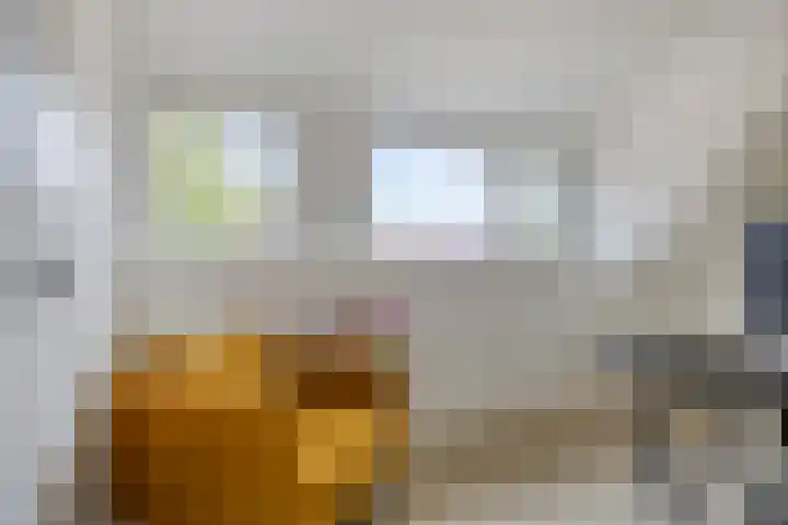 Drossaardslag 37 Gouda thumbnail 28