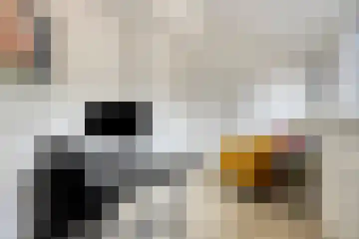 Drossaardslag 37 Gouda thumbnail 29
