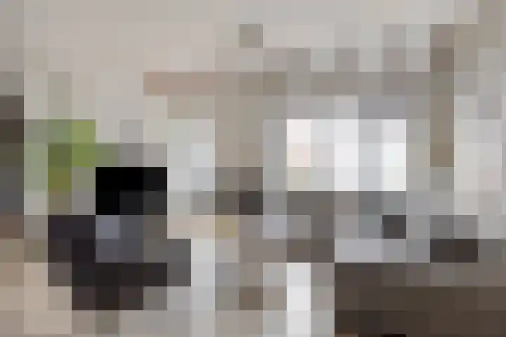 Drossaardslag 37 Gouda thumbnail 9