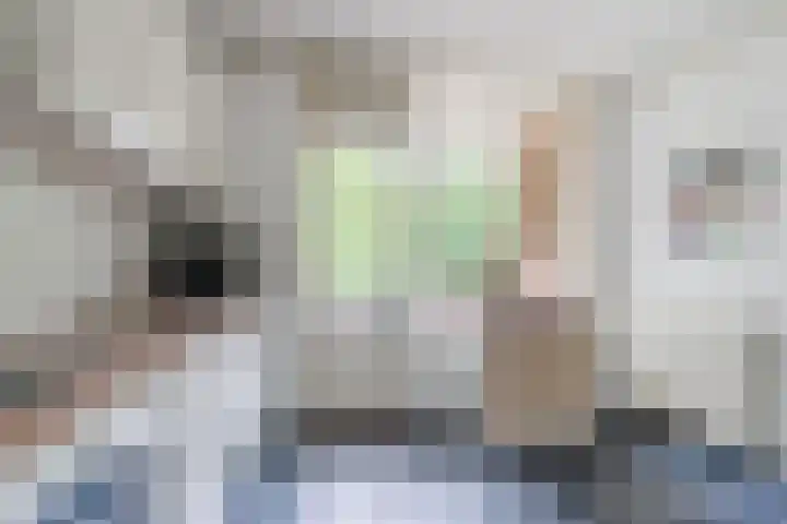 Drossaardstraat 57 Geldrop thumbnail 18