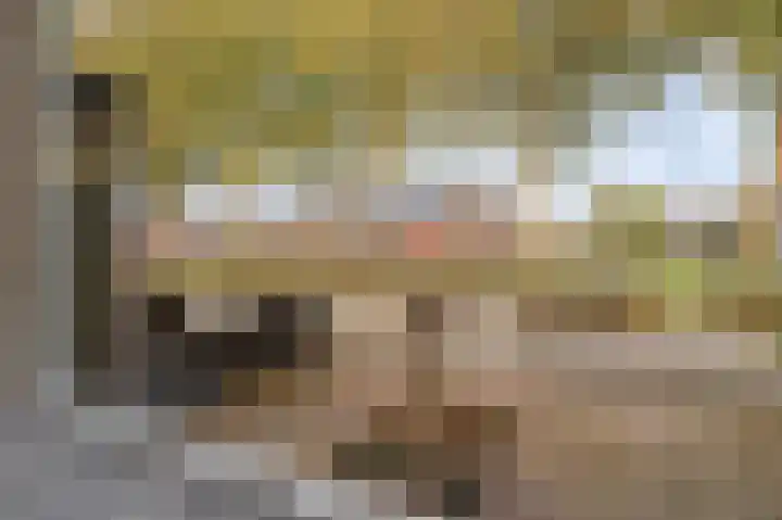 Drostlaan 78 Emmeloord thumbnail 20