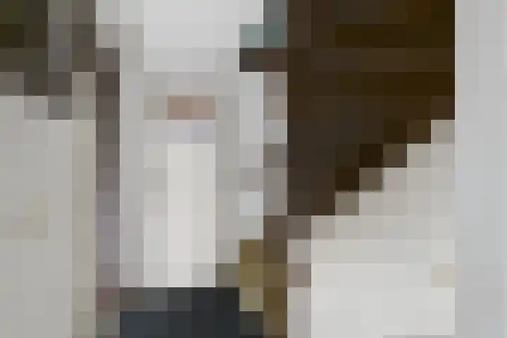 Drostlaan 8 b Sluiskil thumbnail 17