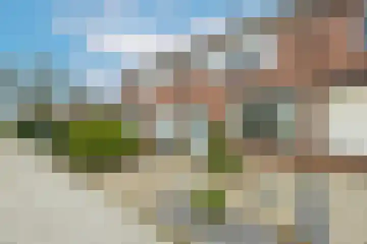 Drostlaan 8 b Sluiskil thumbnail 37