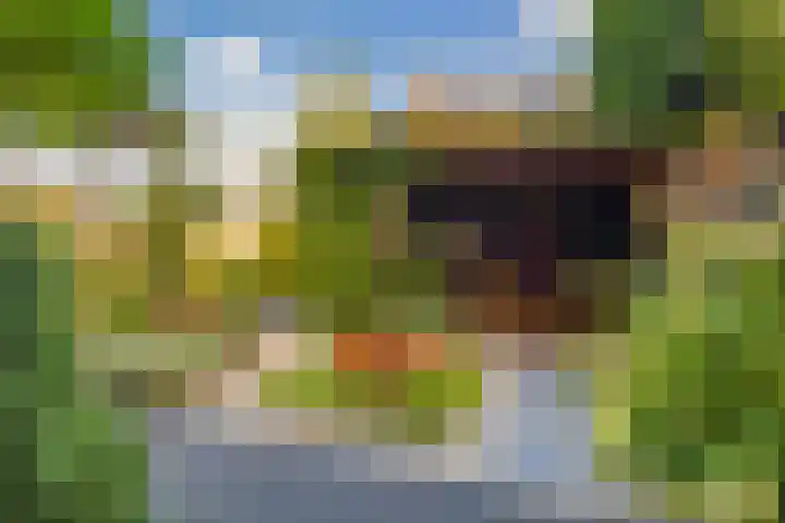 Drouwenerzand 5 Ede thumbnail 31
