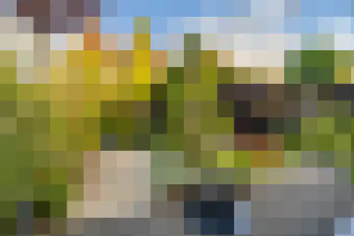 Drouwenerzand 5 Ede thumbnail 32