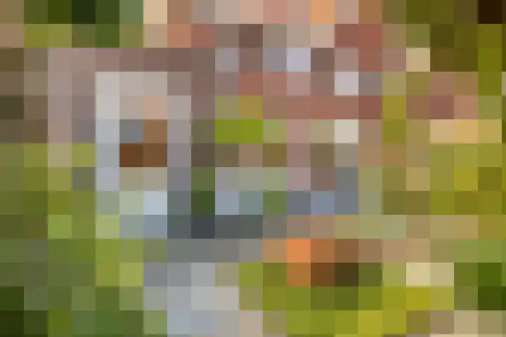 Drouwenerzand 5 Ede thumbnail 35