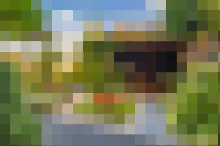 Drouwenerzand 5 Ede thumbnail 4
