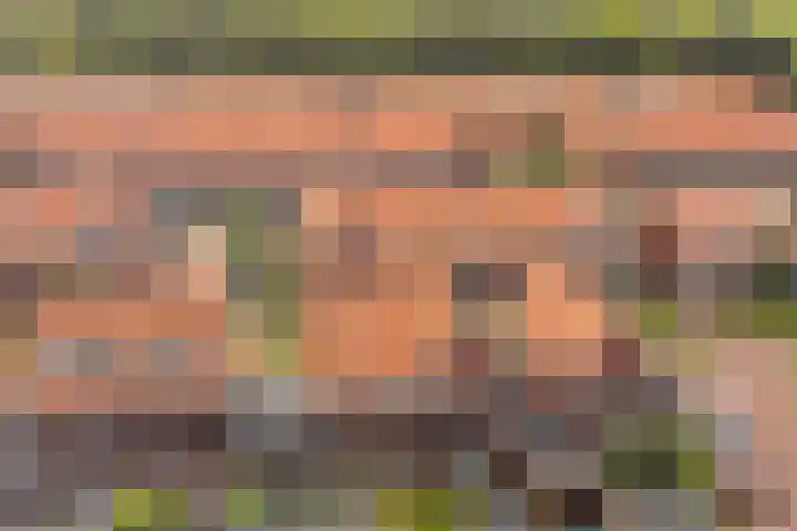 Drouwenerzand 5 Ede thumbnail 42