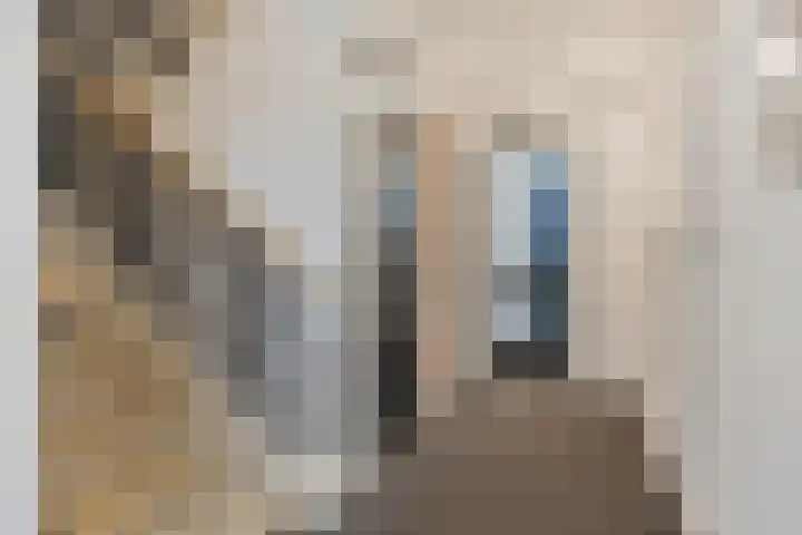 DRU-laan 61 Ulft thumbnail 8