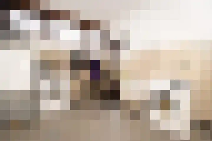 Druijfplaats 64 Abbekerk thumbnail 14