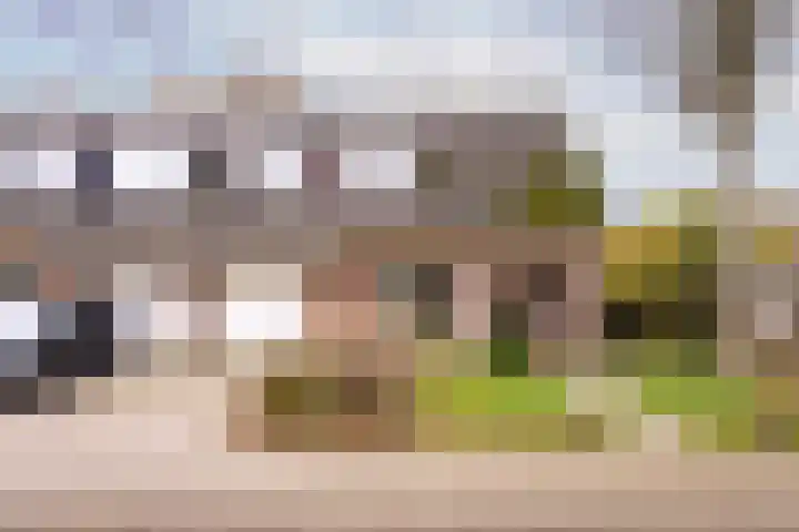 Druijfplaats 64 Abbekerk thumbnail 27