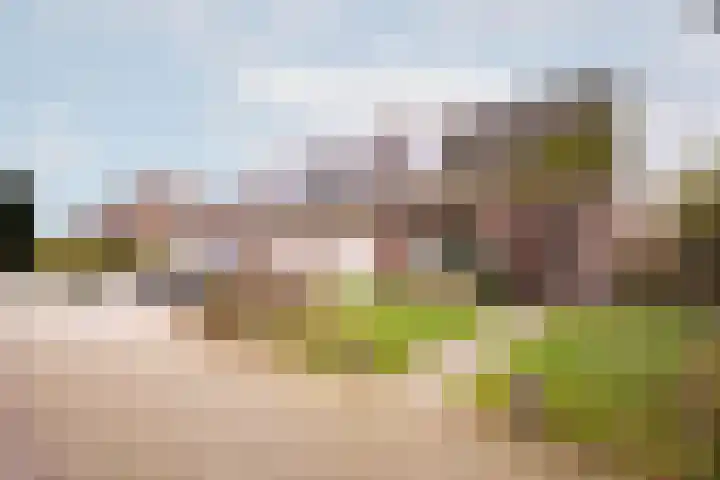 Druijfplaats 64 Abbekerk thumbnail 28