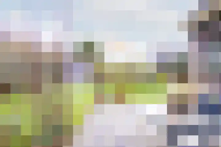 Druijfplaats 64 Abbekerk thumbnail 30