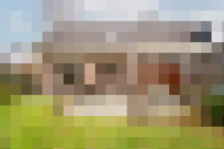 Druijfplaats 64 Abbekerk thumbnail 31