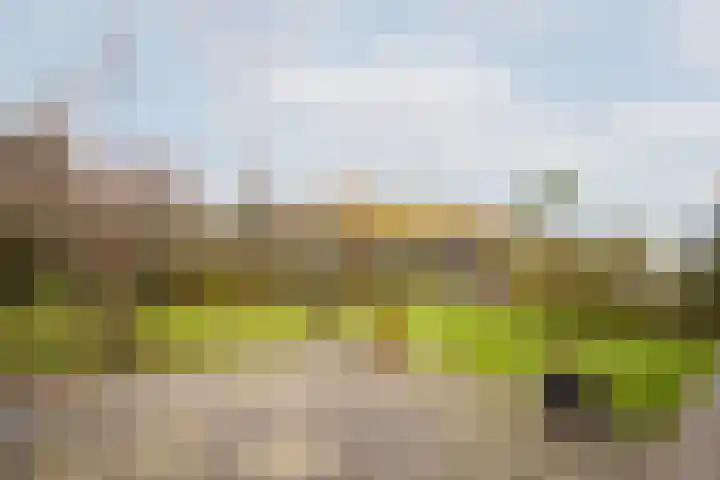 Druijfplaats 64 Abbekerk thumbnail 32