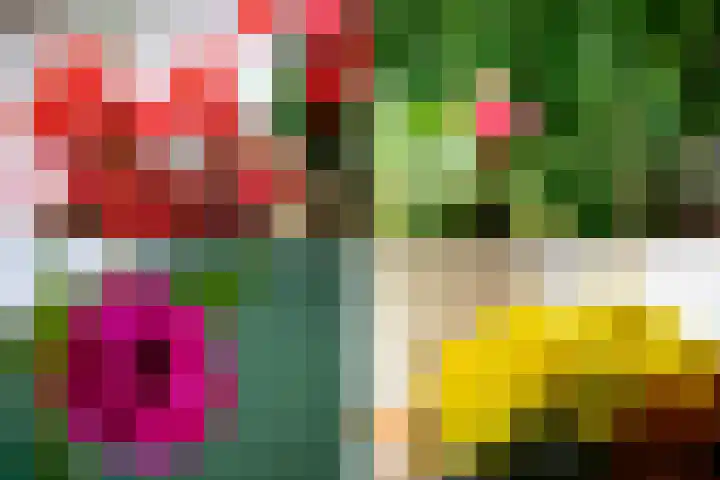 Druijfplaats 64 Abbekerk thumbnail 36